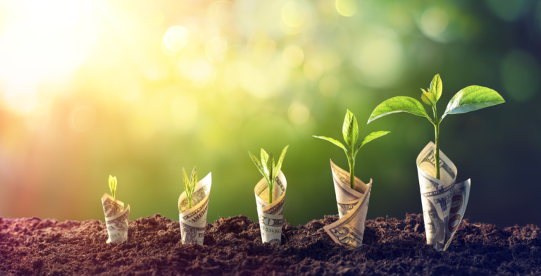 TSP Automatic Enrollment Program: How It Works, Percentages and Updates