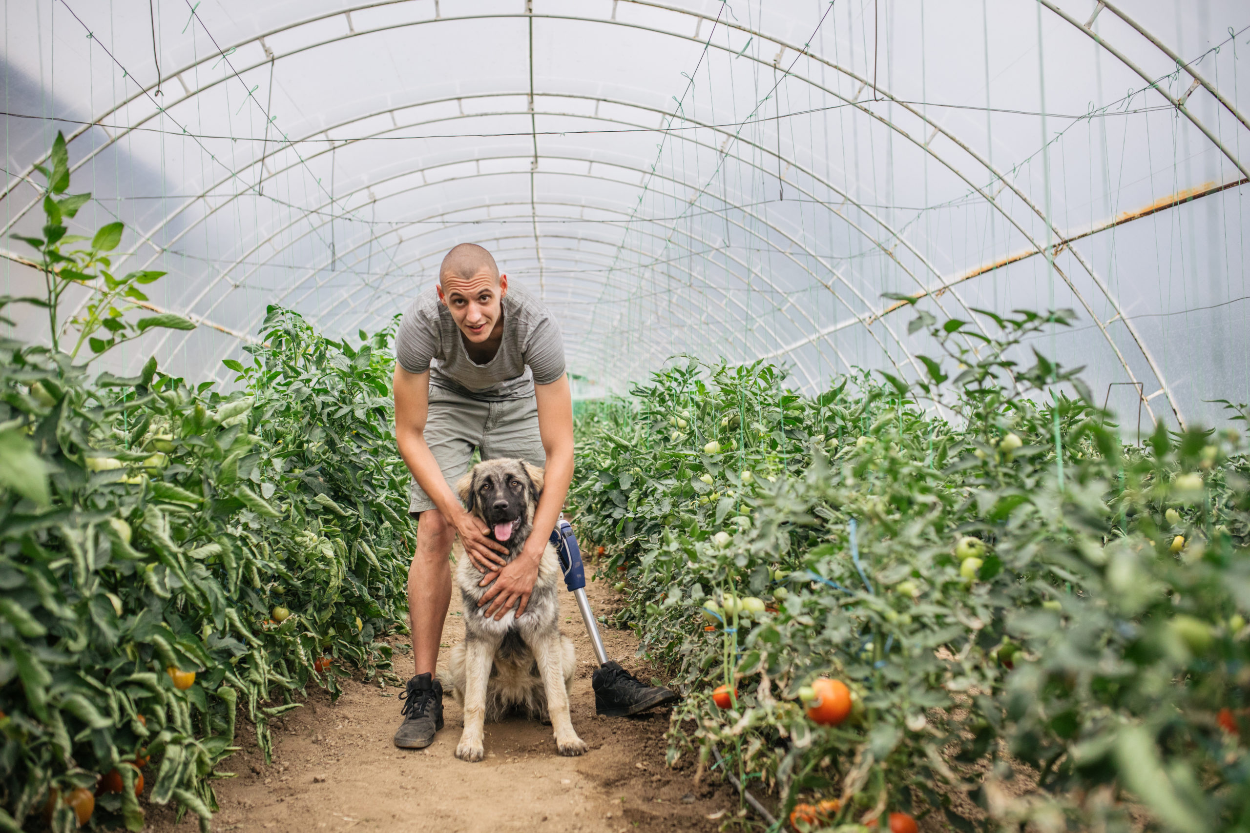 Veteran Readiness and Employment Program Helps Vets Re-Enter the Workforce