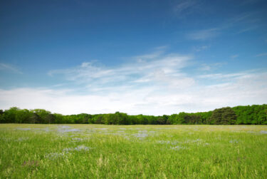 Can you buy land with a VA loan?